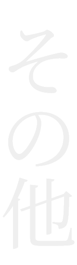 Japanese kitchen knife