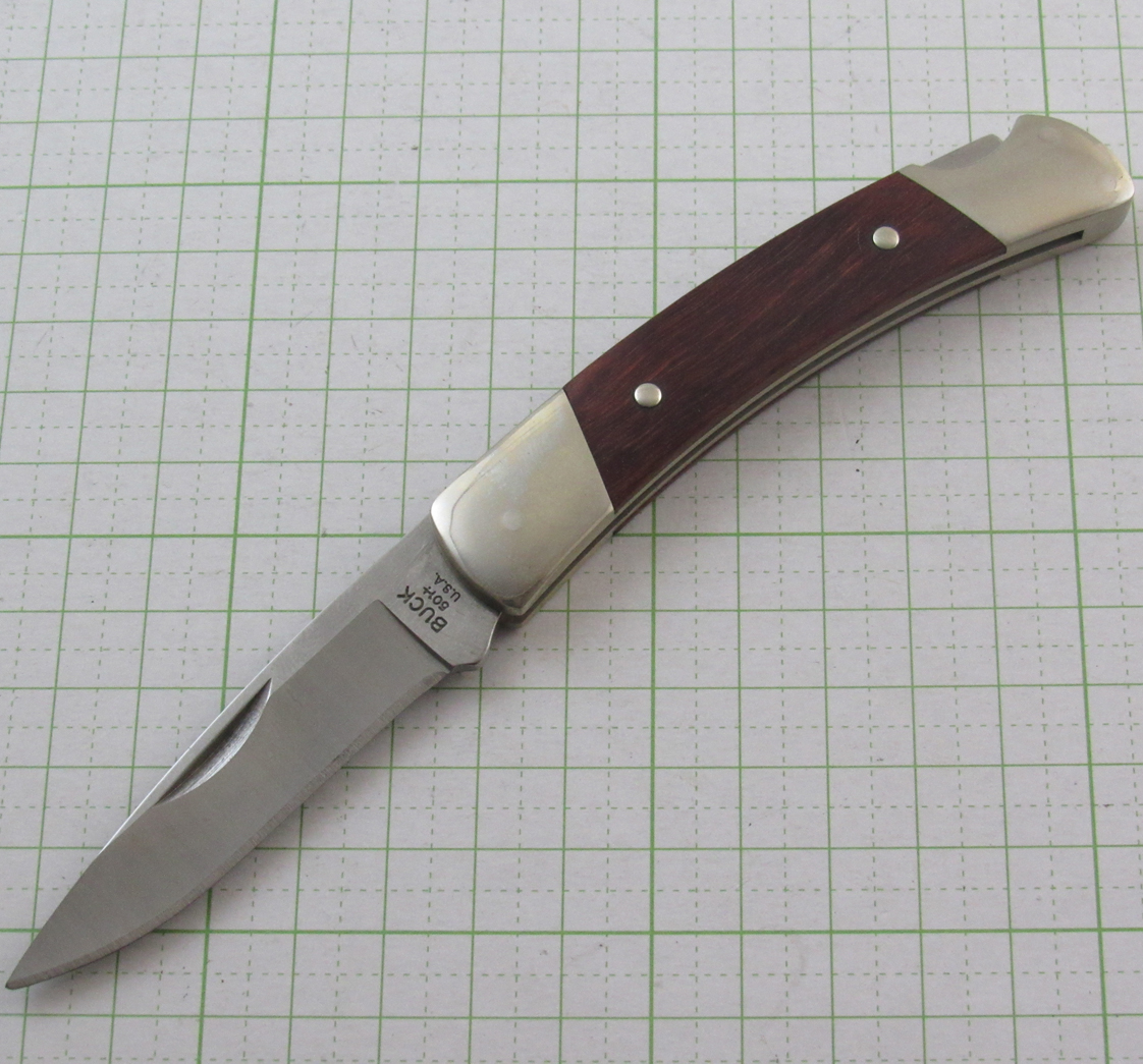 #501 スクワイヤ