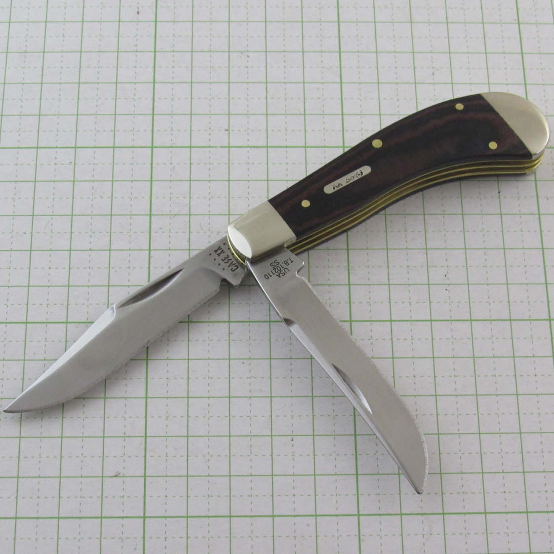 パシフィック・ソルト２(大海人)