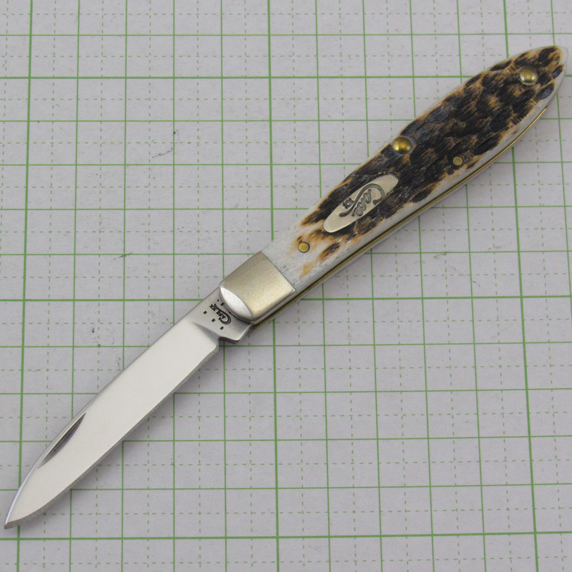 レディーバグ ソルトSR