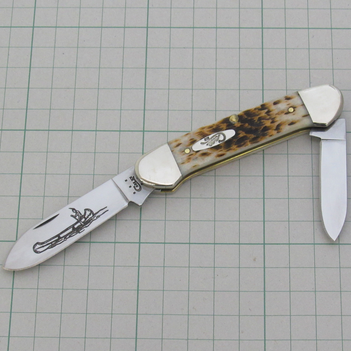 タスマン・ソルト2 ＰL(海星)