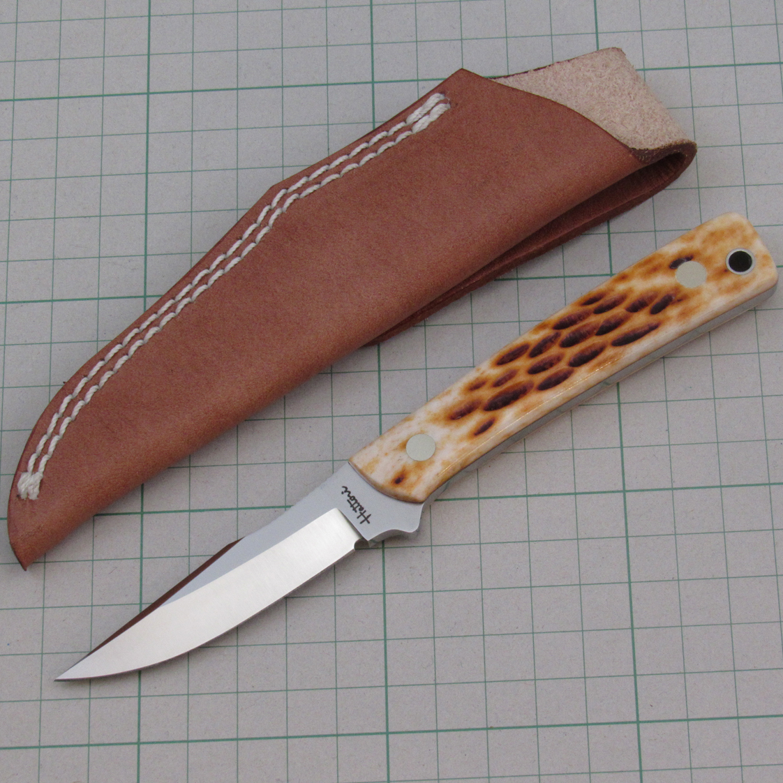 841 トラウト&バード