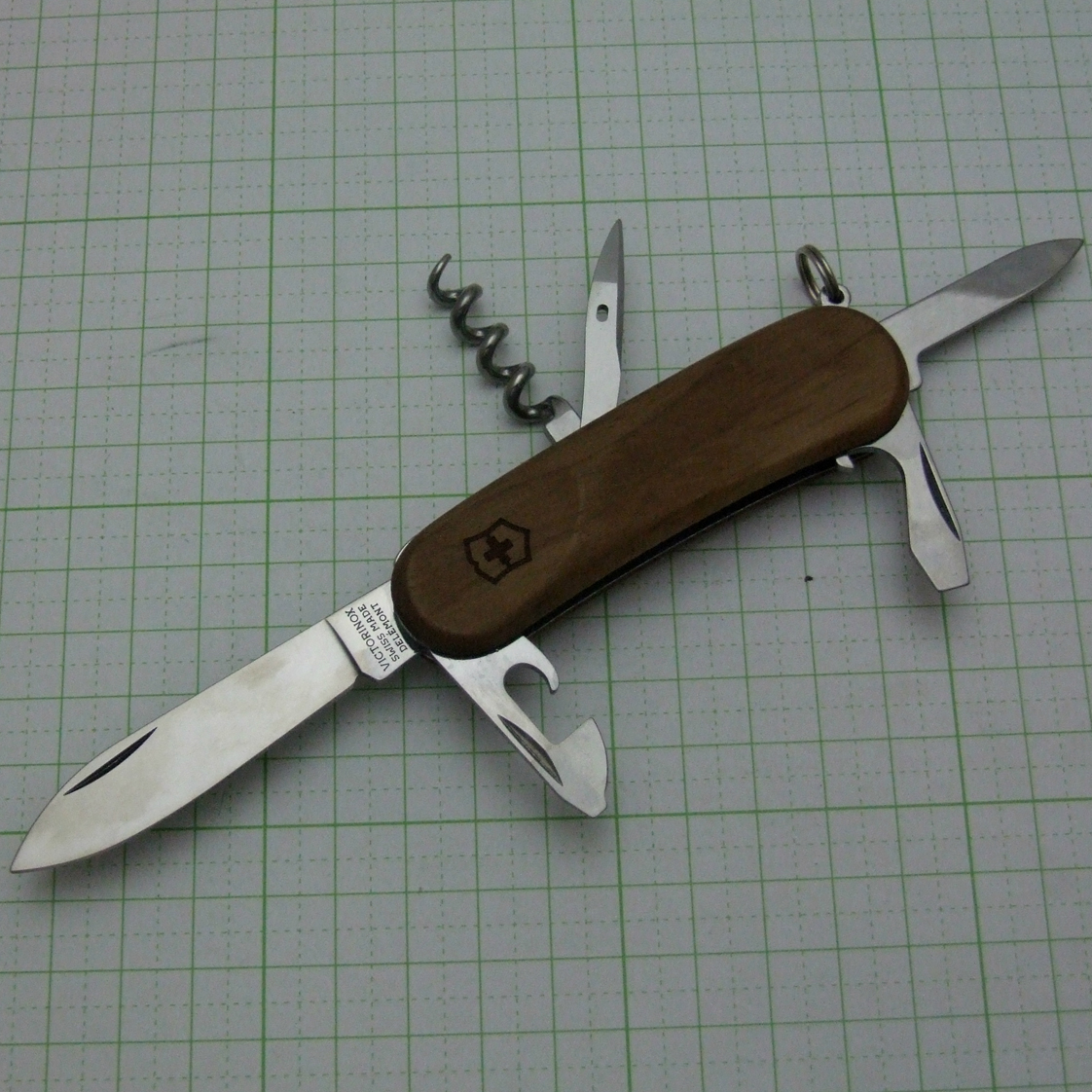 エボリューション ウッド10