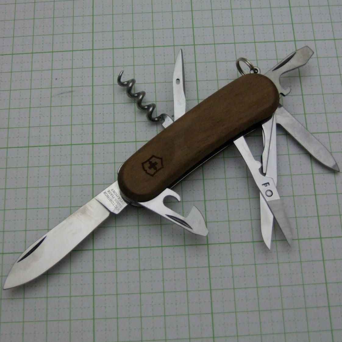 エボリューション ウッド14