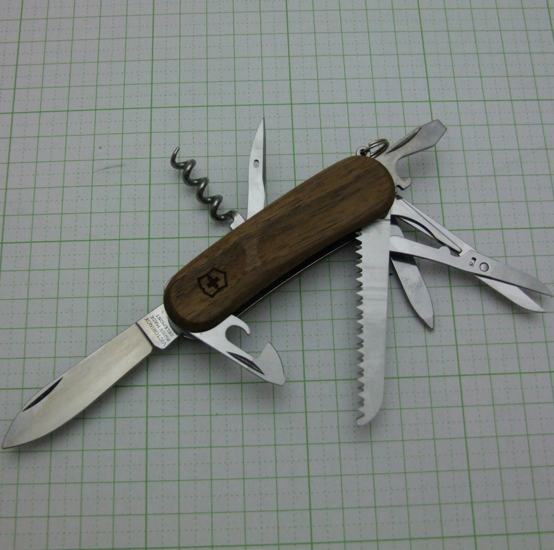 エボリューション ウッド17